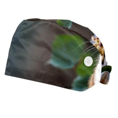 2 Pieces Scrub Caps Women Ponytail Scrub Cap Nursing Hats for Women for Kitchen Animal Nuts Leaves Multicoloured