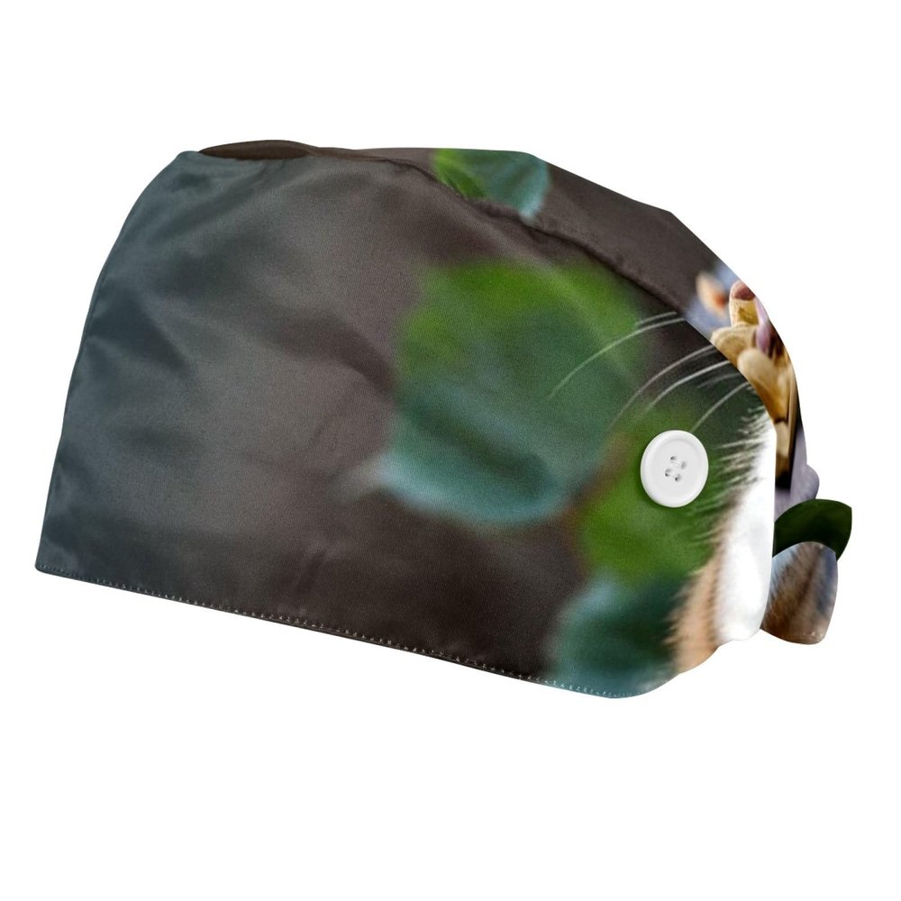 2 Pieces Scrub Caps Women Ponytail Scrub Cap Nursing Hats for Women for Kitchen Animal Nuts Leaves Multicoloured