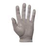 FootJoy Men's RainGrip Golf Glove, White/Grey, Large, Pair view 4