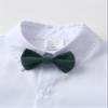 Boarnseorl Baby Boys Pants Sets,Toddler Gentleman Outfits, Infant Long Sleeve Shirt + Pants + Bow Tie + Vest,12-18M view 3