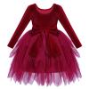 ABEHIK Toddler Girls Christmas Velvet Dress Long Sleeve Handkerchief Hem Tulle Tutu Dress Fall Winter Ruffle Princess Wedding Bowknot Flower Girl Dresses 1st Birthday Party Outfits Red 5-6 Years view 1