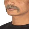 BC GOODS BY Adult Men's Brown Horseshoe Mustache Kit, Ideal for Cosplay and Themed Events, Flame-Retardant Synthetic Fiber view 2