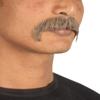 BC GOODS BY Adult Men's Brown Horseshoe Mustache Kit, Ideal for Cosplay and Themed Events, Flame-Retardant Synthetic Fiber view 3