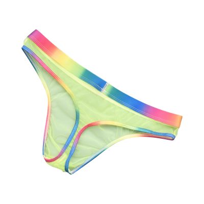 Mesh See Through Briefs Underwear for Men Gay Pride Sexy Rainbow Sheer Thongs Mens Naughty T Back Lingerie