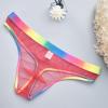 Mesh See Through Briefs Underwear for Men Gay Pride Sexy Rainbow Sheer Thongs Mens Naughty T Back Lingerie view 2