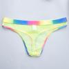 Mesh See Through Briefs Underwear for Men Gay Pride Sexy Rainbow Sheer Thongs Mens Naughty T Back Lingerie view 3