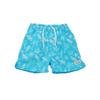 Baby/Toddler Wesley Swim Trunks | Children's Swim Trunks with Mesh Liner | UPF 50+ Highest Certified UV Sun Protection, Coco Beach Turtles, 4 view 1