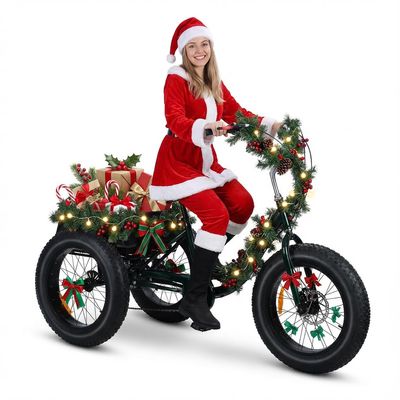 Sarkoyar Adult Tricycle 7 Speed,Adult Trikes 20 Inch 3 Wheel Bikes Tricycle for Adults with Double Disc Brake & Cargo Basket,Beach Ccruiser Bike for Seniors Women Men