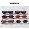 helena Trendy Small Retro Oval Women Sunglasses Vintage Round punk Women Sunglasses Fashion Ladies Shades S68 (C1) view 4