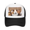 Baseball Cap Golf Dad Hat for Men Women Adjustable Baseball Hat Guinea Pigs Dad Cap Unconstructed Black view 4