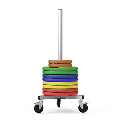 90cm Tall Weight Rack, Moveable Barbell Plate Holder Vertical Strength Training Plates Storage Rack/Stand Gym Storage Home Garage & Commerci,Silver-40x40x90cm