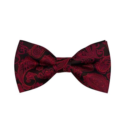 BEWDIO Adjustable Bow Ties for Kids, Red Boy Pre-Tied Bowties for Mens Party Wedding (61-09M)