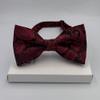 BEWDIO Adjustable Bow Ties for Kids, Red Boy Pre-Tied Bowties for Mens Party Wedding (61-09M) view 2