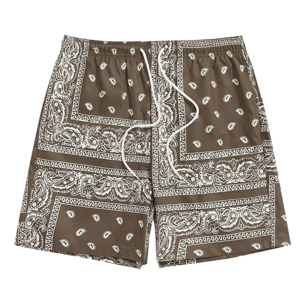 Brown,Men's Boho Tribal Paisley Print Drawstring Waist Summer Beach Hawaiian Cool Graphic Short Men,XXS