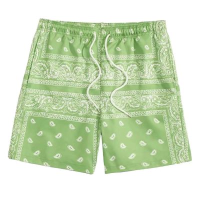 Green,Men's Boho Tribal Paisley Print Drawstring Waist Summer Beach Hawaiian Cool Graphic Short Men,XXS