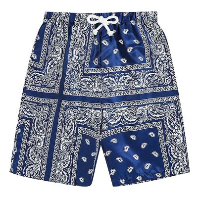 Z6 Navy,Men's Boho Tribal Paisley Print Drawstring Waist Summer Beach Hawaiian Cool Graphic Short Men,6XL