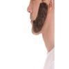 BC GOODS BY Adult Men's Brown Facial Hair Set, Mutton Chops & Sideburns, Flame-retardant Synthetic Fiber - Brown view 3