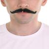 BC GOODS BY Men's Novelty Black Mustache English Comedian Style Facial Hair for Adults, Flame-retardant Synthetic Fiber view 1