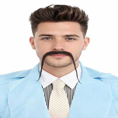 BC GOODS BY Adult Men's Chinese Super Villain Mustache  Realistic Fake Human Hair- Black