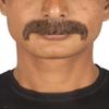 BC GOODS BY Men's Facial Hair Set Brown Horseshoe Mustache for Cosplay, Flame-Retardant Synthetic Fiber view 1