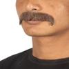 BC GOODS BY Men's Facial Hair Set Brown Horseshoe Mustache for Cosplay, Flame-Retardant Synthetic Fiber view 2