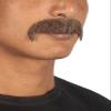 BC GOODS BY Men's Facial Hair Set Brown Horseshoe Mustache for Cosplay, Flame-Retardant Synthetic Fiber view 3