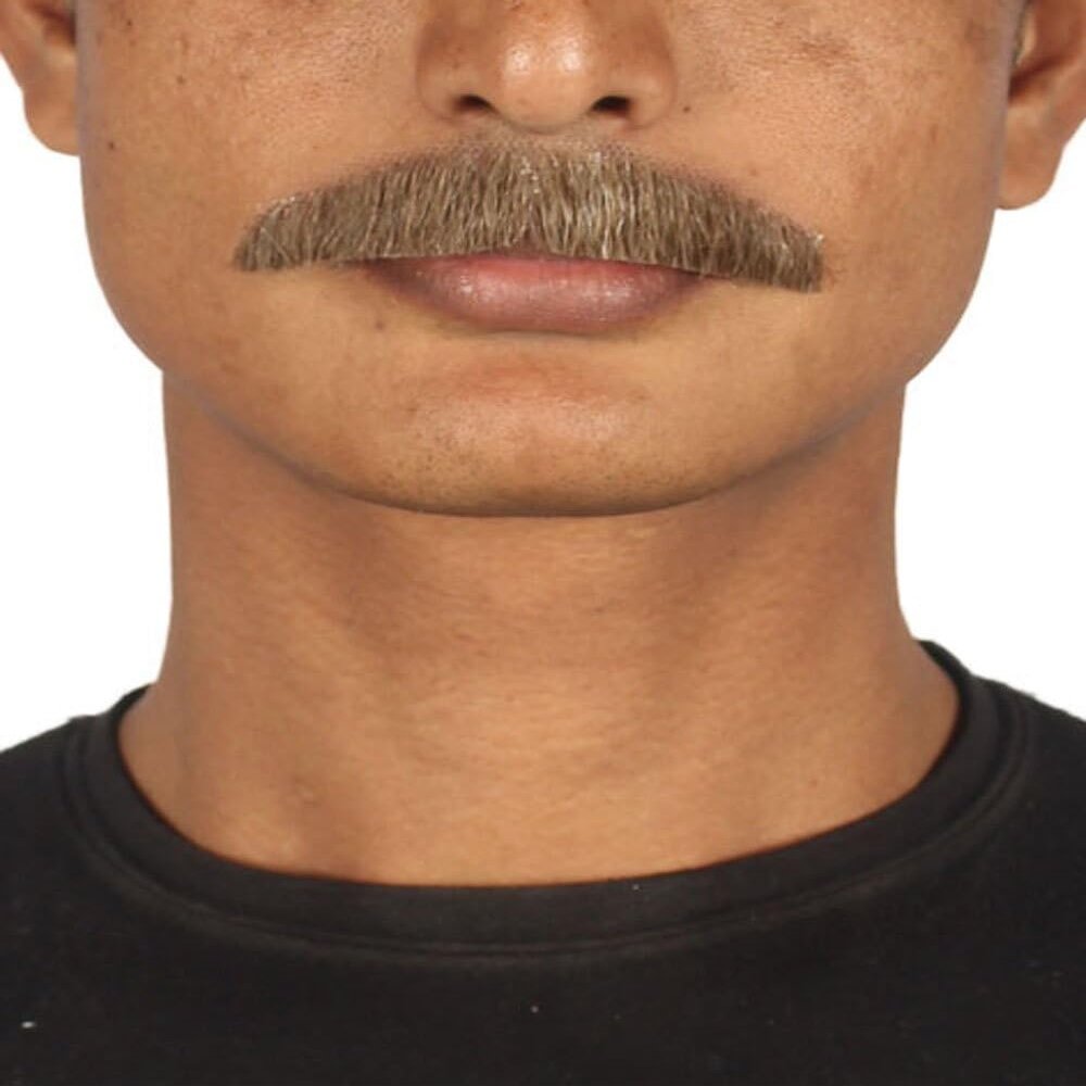 BC GOODS BY Men's Facial Hair Set Brown Painter Brush Style Mustache for Cosplay, Flame-retardant Synthetic Fiber