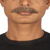 BC GOODS BY Men's Facial Hair Set Brown Painter Brush Style Mustache for Cosplay, Flame-retardant Synthetic Fiber view 1