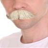 BC GOODS BY Cosplay-Ready Mustache Set for White Men - Perfect Facial Hair Accessory view 2