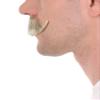BC GOODS BY Cosplay-Ready Mustache Set for White Men - Perfect Facial Hair Accessory view 4