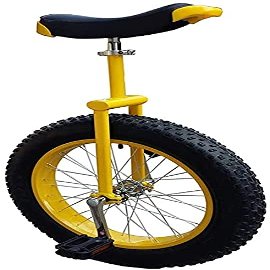 YXCUSAM Unicycle, Beginner Balance Riding Unicycle, Stage Unicycle Performance Car for Teenagers, Adults (20 Inch)