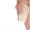 BC GOODS BY Adult Men's Brown Facial Hair Set, Mutton Chops & Sideburns, Flame-retardant Synthetic Fiber - White view 3
