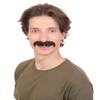 BC GOODS BY Men's Fake Human Hair Mustache for Musicians Novelty Facial Accessory, Dark Brown view 2