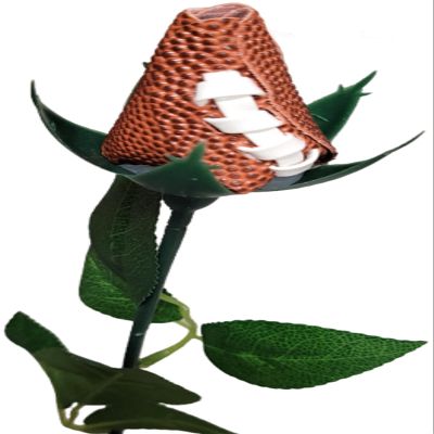 Football Rose Faux sport Rose