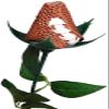 Football Rose Faux sport Rose view 1