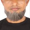 BC GOODS BY Mens Hollywood Synthetic Facial Hair Stylish & Easy Beard, Grey view 1