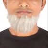 BC GOODS BY Mens Hollywood Synthetic Facial Hair Stylish & Easy Beard, Mix White view 1