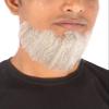 BC GOODS BY Mens Hollywood Synthetic Facial Hair Stylish & Easy Beard, Mix White view 3