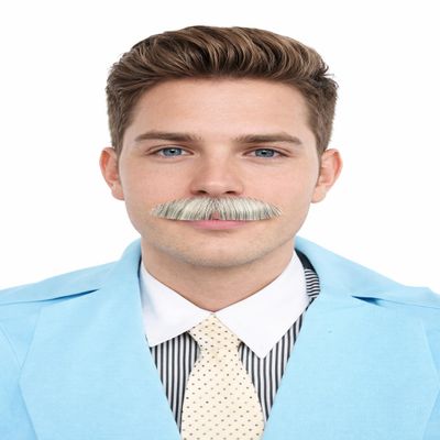 BC GOODS BY Mens Small Straight Fake Mustache  Natural Look Self Adhesive Facial Hair - Realistic Costume Accessory for Parties, Themed Outfits, Festive Gatherings & Special Occasions - Mix White