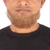 BC GOODS BY Mens Hollywood Synthetic Facial Hair Stylish & Easy Beard, Light Brown
