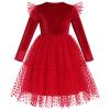 ABAFIP Toddler Baby Girls Christmas Velvet Tutu Dress Long Sleeve Sparkly Tulle Birthday Fall Winter Party Dress Bright Red 18-24 Months view 2