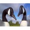 Canada Goose Decoy Head Flocking Kit - 50 Heads view 3