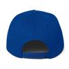 Florida VS All Y'all - Represent The Gator State Flat Bill Cap Royal Blue view 4