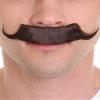 BC GOODS BY Men's Curly Brown Mustache Mechanical Prodigy view 1