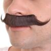 BC GOODS BY Men's Curly Brown Mustache Mechanical Prodigy view 2