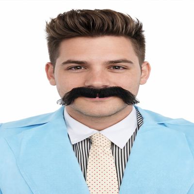 BC GOODS BY Novelty Black Mustache for Men Horseshoe FDR Style Fake Facial Hair