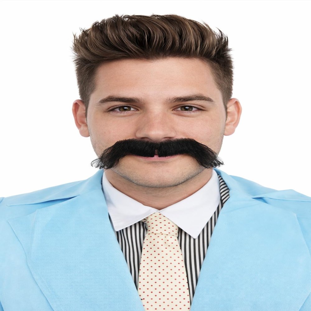 BC GOODS BY Novelty Black Mustache for Men Horseshoe FDR Style Fake Facial Hair