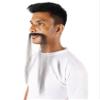 BC GOODS BY Men's Novelty Facial Hair Black Chinese Supervillain Mustache with Fake Human Hair view 2