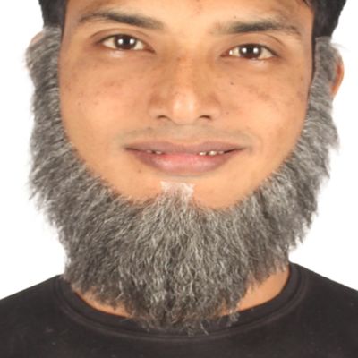 BC GOODS BY Men's Chin Curtain Gray Facial Hair Set Long Beard for Cosplay