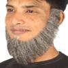 BC GOODS BY Men's Chin Curtain Gray Facial Hair Set Long Beard for Cosplay view 2